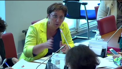 Conditions par les caisses d’allocations familiales de leurs missions (rapport) - Mardi 8 Juillet 2014