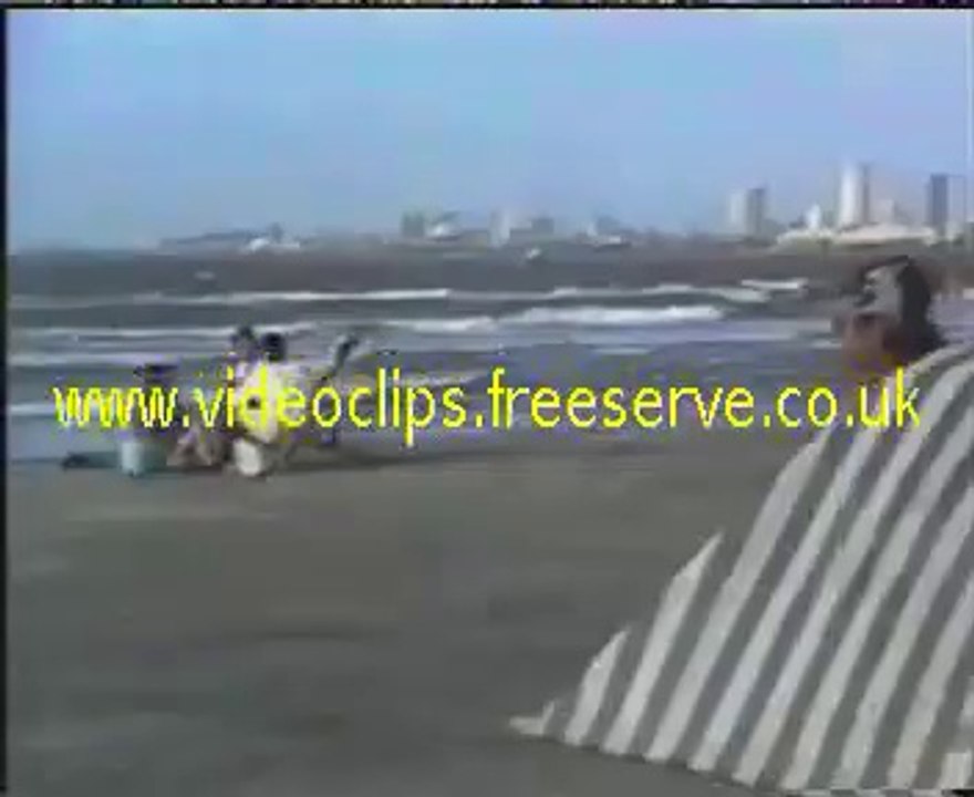 funny clip beach