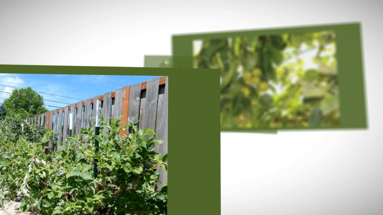 Home for Sale in Portland Oregon (503) 969-1129