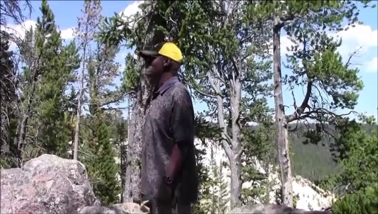 Yellostone combined 6