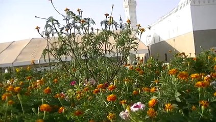مسجد قباء من الخارج