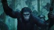 Dawn Of The Planet Of The Apes is Entertaining | Dawn Of The Planet Of The Apes | Movie Review