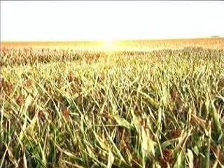 Scie chimiche, HAARP - L'alba del dominio elettromagnetico