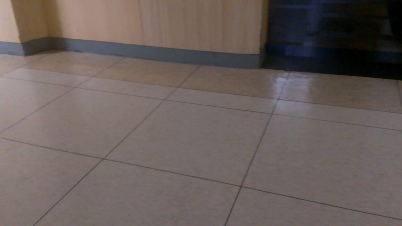 VIDEO0004