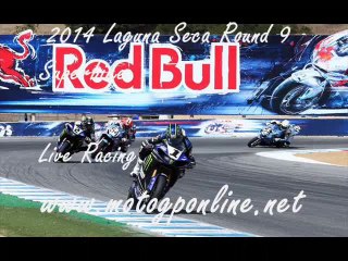 Super Bike Donington Park Race Live