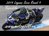 2014 Donington Park Race Online