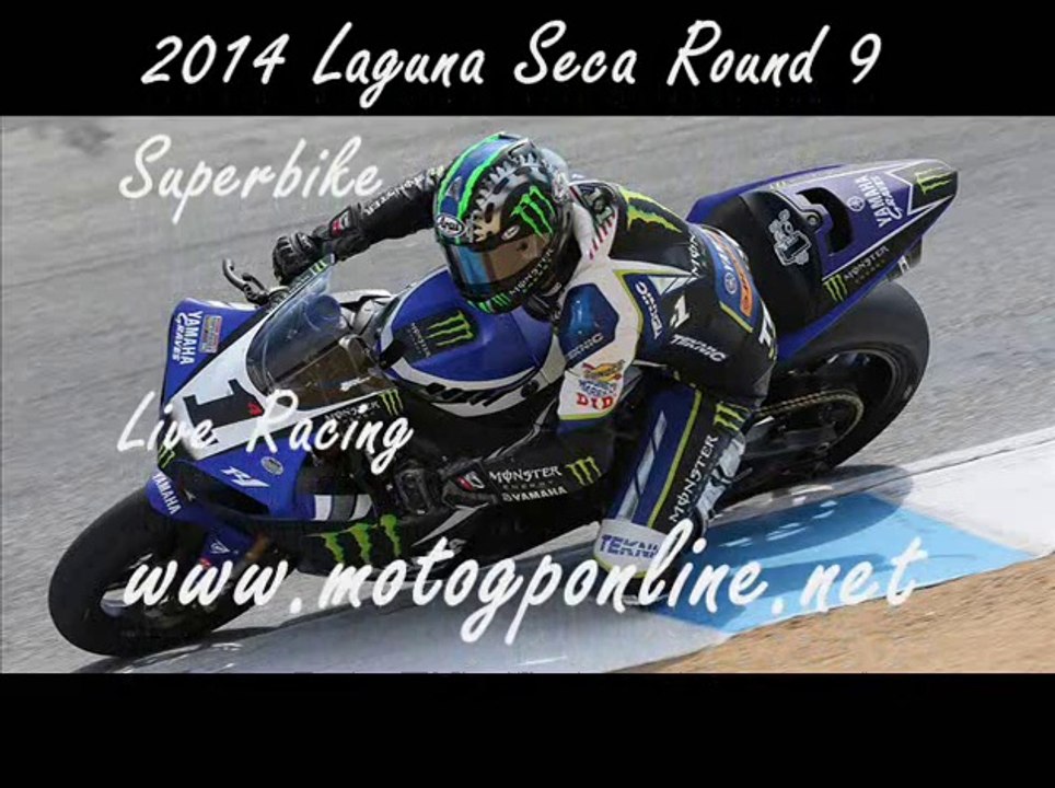 2014 Donington Park Race Online