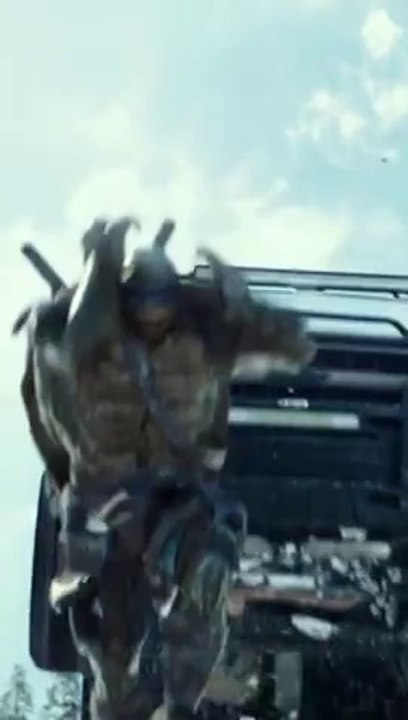 TMNT - Leonardo