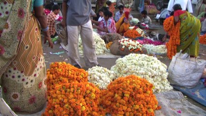Ahmedabad Vegetable & Flower Market 2008 India