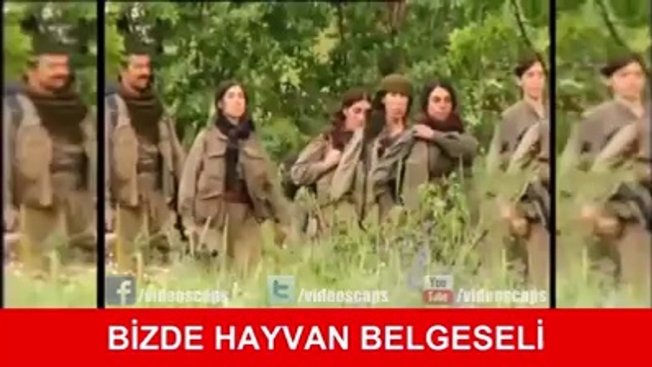 Onlarda ve bizde hayvan belgeseli