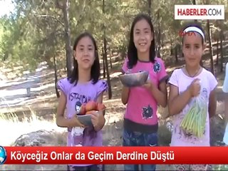Köyceğiz Onlar da Geçim Derdine Düştü