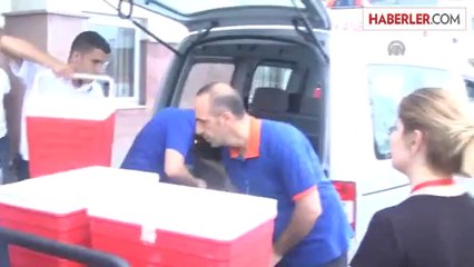 Rize'de Boğulan Gencin Organları Hayat Kurtardı