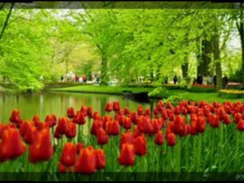 YILDIZ DEMİRKOL SAVAŞ-yıldızlıtürküler-DAĞLARA LALE DÜŞTÜ