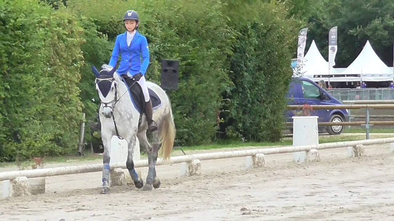 Ushaz Ponthouar et Cassy - Dressage D2P RLM - Open de France 2014