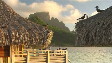 Tahiti - Hane Hane Karima