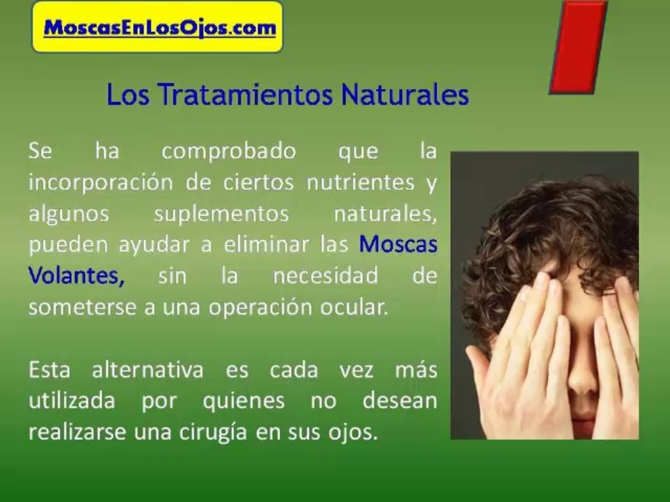 Moscas Volantes en los Ojos : Como Eliminar Las Moscas Volantes de Forma Segura