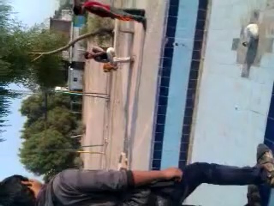 pagal monkey :D
