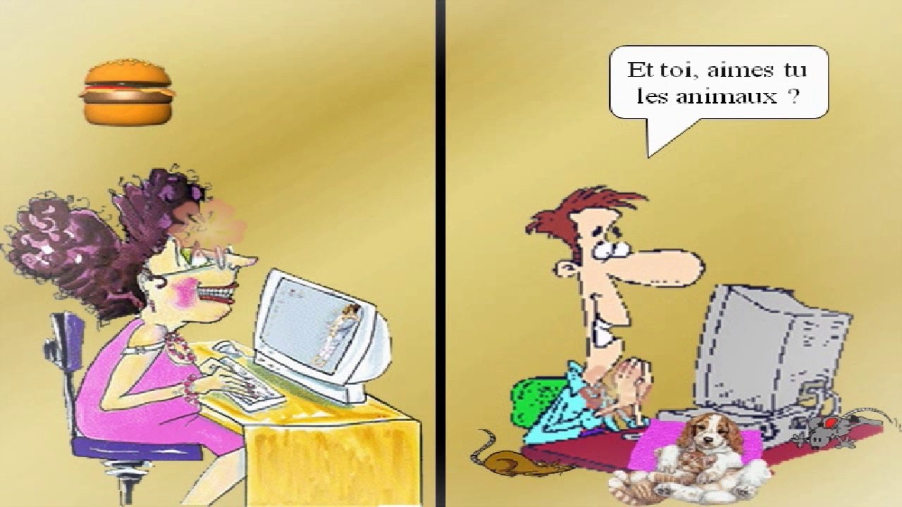 Les mensonges du Net