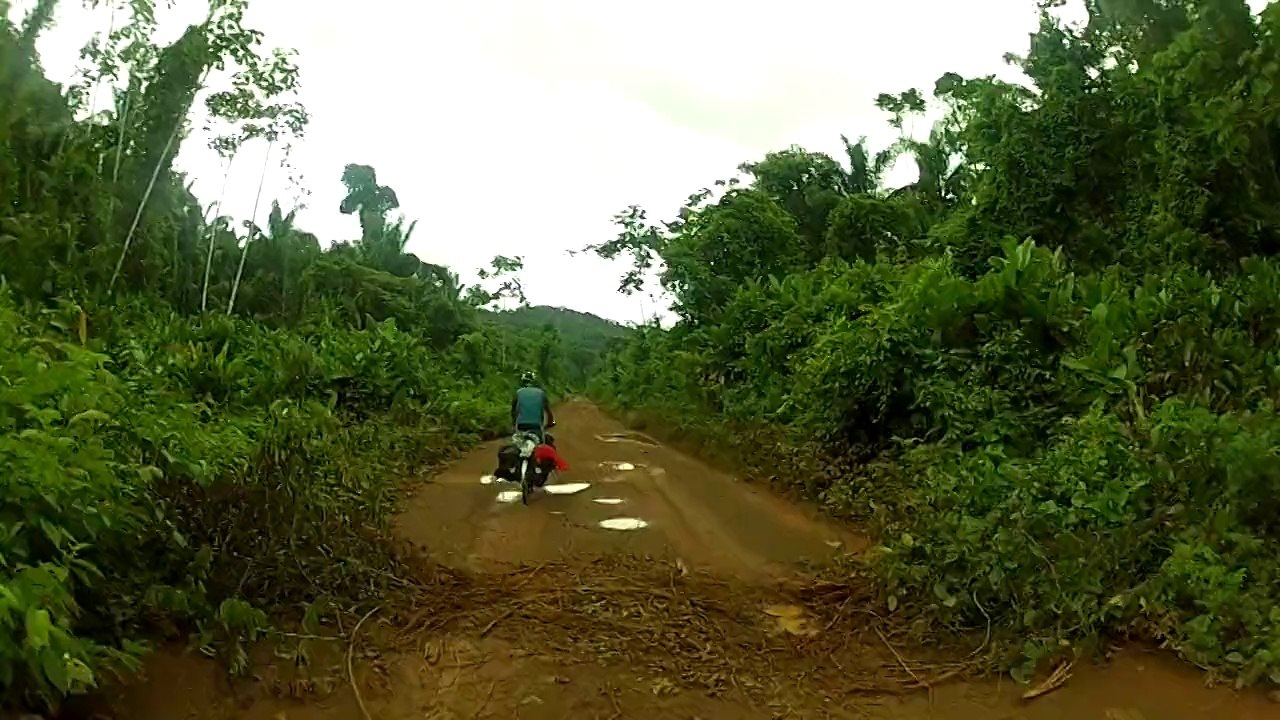 On pedale dans la jungle