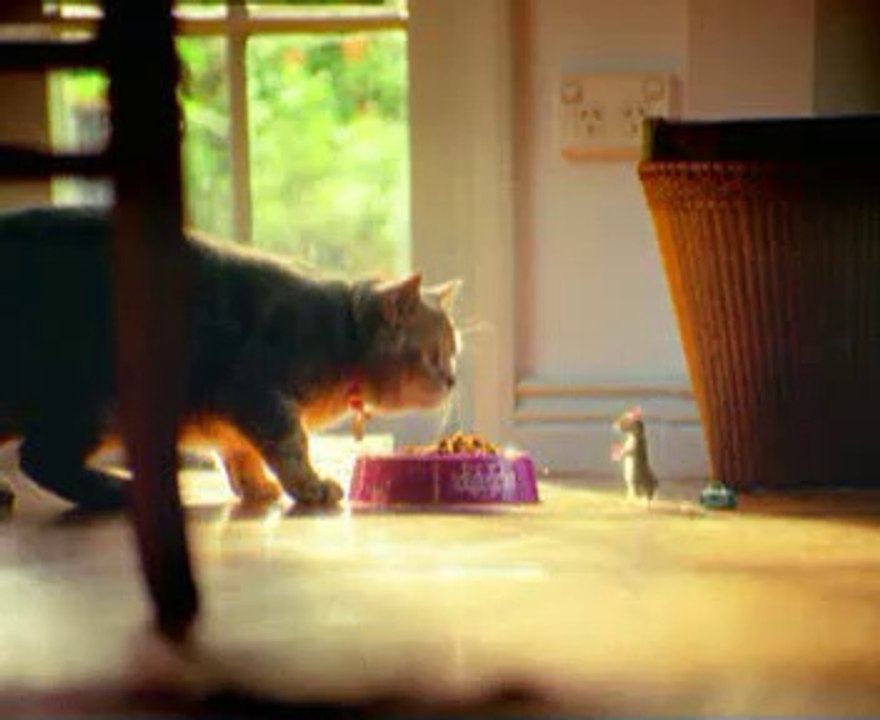 funny clip whiskas