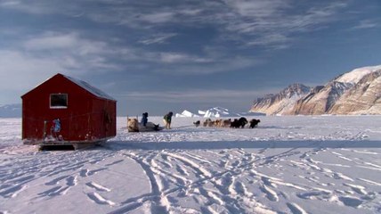 Gronland'da Köpekbalığı Avı