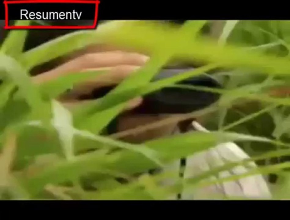 Capitulo 22