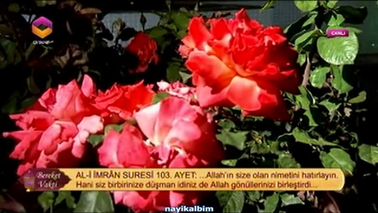 Mehmet Atıcı Ali İmran suresi Ramazan 2014