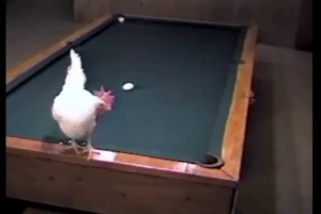 Hêka Pîroz!