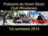 Silure Club Rhodanien : le Silure Club Rhodanien1er semestre 2014