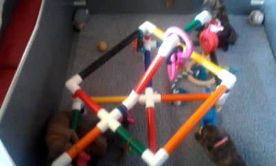 Early Development Puppy Play Gym by PUPPiES iN BLOOM™