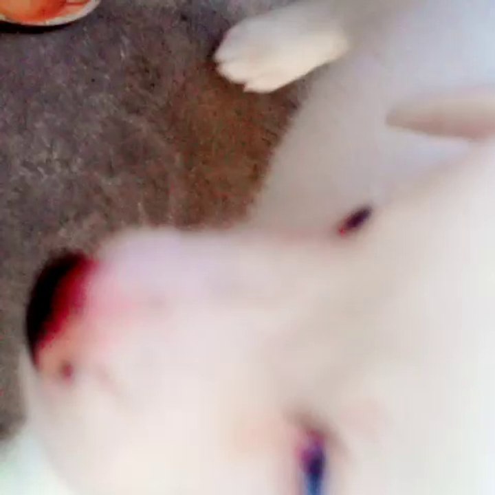 Billy