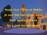 Les Animaniacs - générique Karaoke instrumental