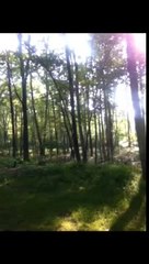 TWO SEPARATE BIGFOOT CAPTURED