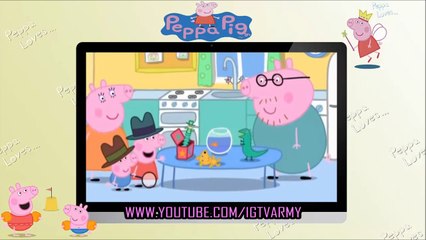 Peppa Pig Español - Peppa Pig Español Capitulos Completos - Peppa Pig HD