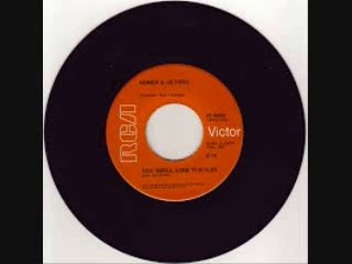 Homer & Jethro - You Smell Like Turtles