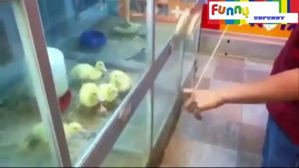 Best funny videos 2014 part 2 - YouTube [360p]