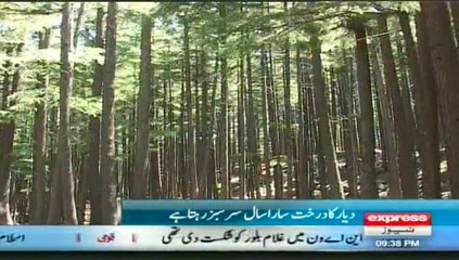 Kalam Forest Awesome Report by sherinzada