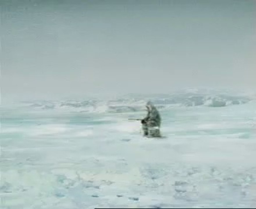 Fishing funny clip