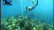 Dunya News - Hundreds of divers, snorkelers converge in Florida Keys for for underwater 'concert'