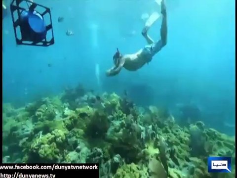 Dunya News - Hundreds of divers, snorkelers converge in Florida Keys for for underwater 'concert'