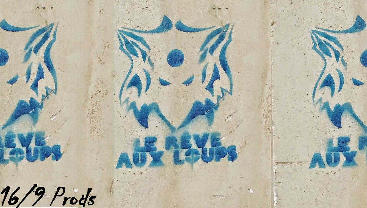 ◄♦►Nocturne Littéraire◄♦►LE RÊVE AUX LOUPS◄♦►roman cinema litterature musique peinture expo politique paris val d'oise ile-de-france lyon marseille bordeaux festival film court cinema le conti prismes et nuances l'artistique de L'Isle-Adam 17 plus jamais