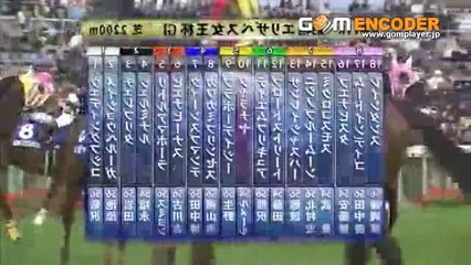 【競馬】 2009 エリザベス女王杯 クィーンスプマンテ 【全部盛