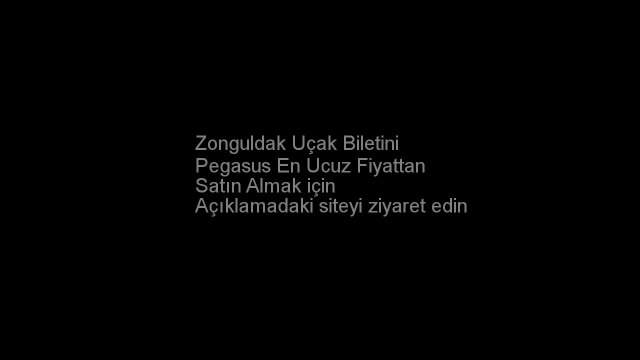 Pegasus Zonguldak Uçak Bileti