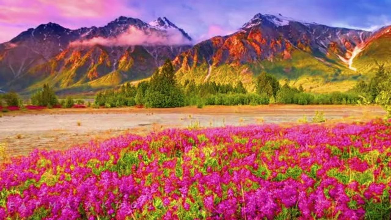 HASRET GÜLTEKİN-BİR İNSAN ÖMRÜNÜ NEYE VERMELİ