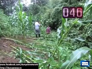 Dunya News - Dunya 100 Seconds: News from across the world in 100 seconds