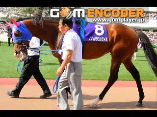 関西Ｇ１　本馬場入場　ザ・チャンピオン