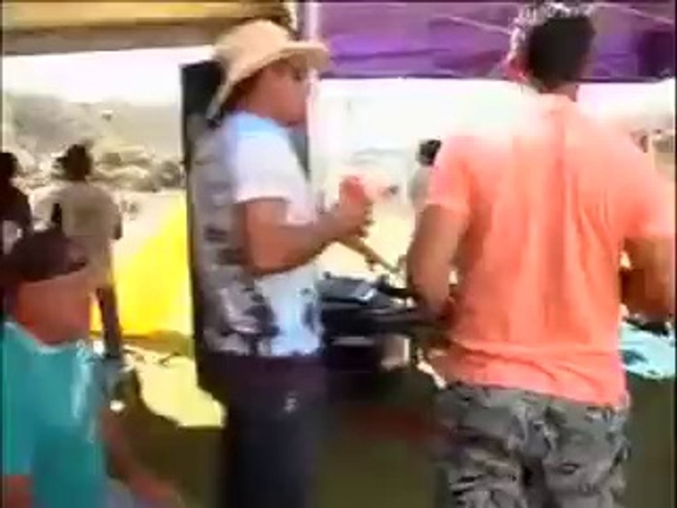 So violent cow attack on a rock band! Hilarious...