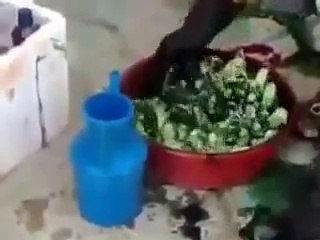 Renkli Civciv Nasıl Yapılır