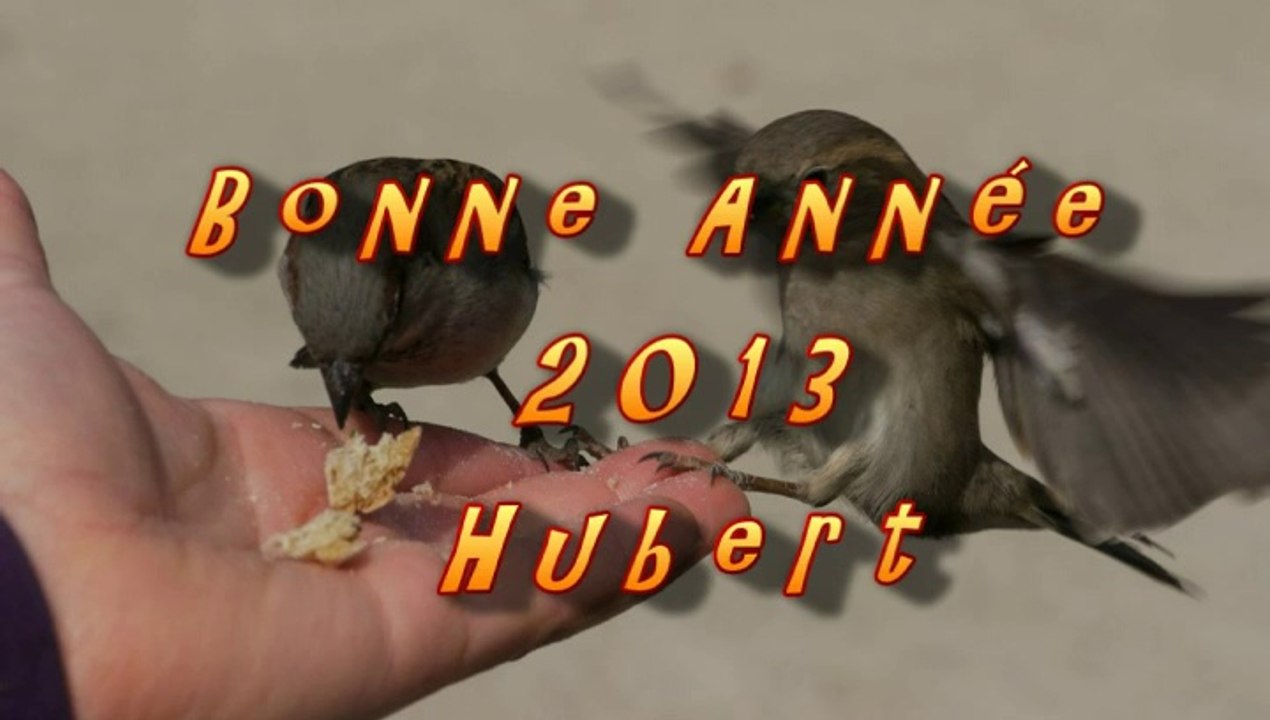 voeux 2013