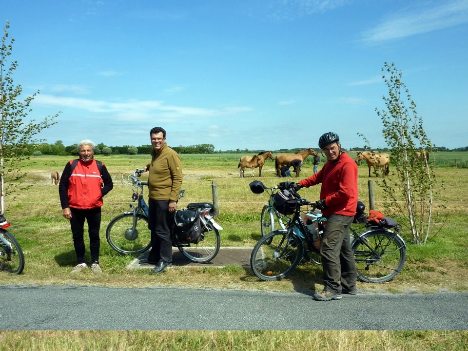 Baie de somme 2012